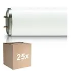 Fordelspakning 25x Philips TL-DK 36W - Blacklight | 60cm - Insectkiller