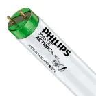 Philips MASTER TL-D Actinic BL 18W - Ultrafiolett | 60cm